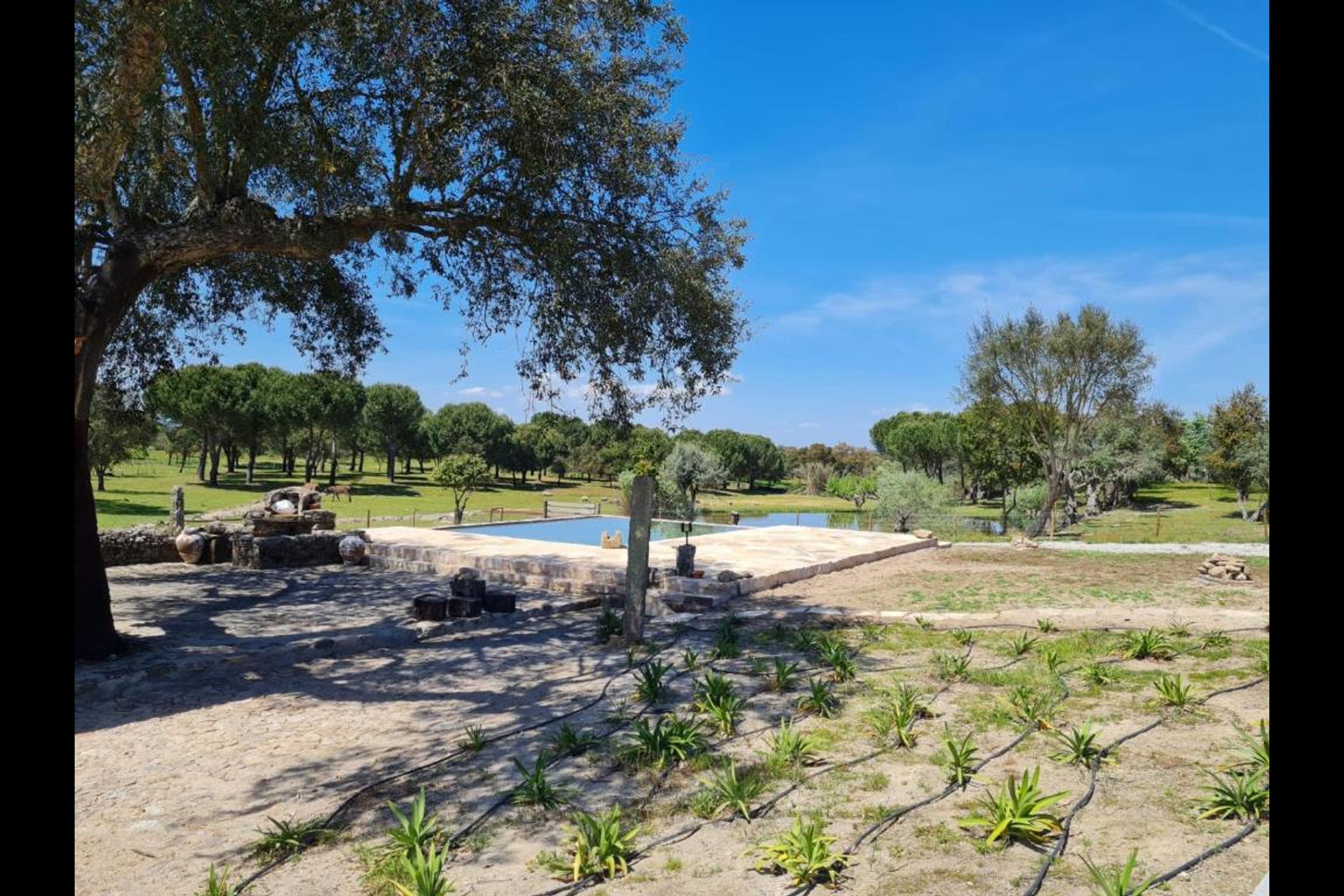 Kochab Alentejo